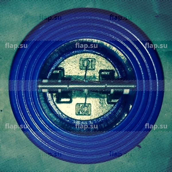 Клапан обратный межфланцевый чугунный DN 40 PN 16